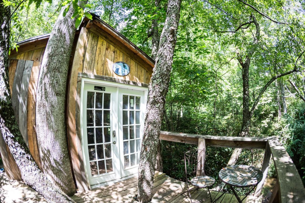 Mountain Harbour B&B Roan Mountain Exterior photo